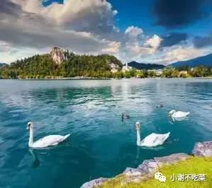 努力积极向上的文案句子-句子橘 努力积极向上的文案句子-句子橘