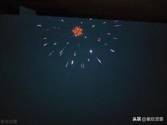 孝顺来不及等待的句子 孝顺来不及等待的句子