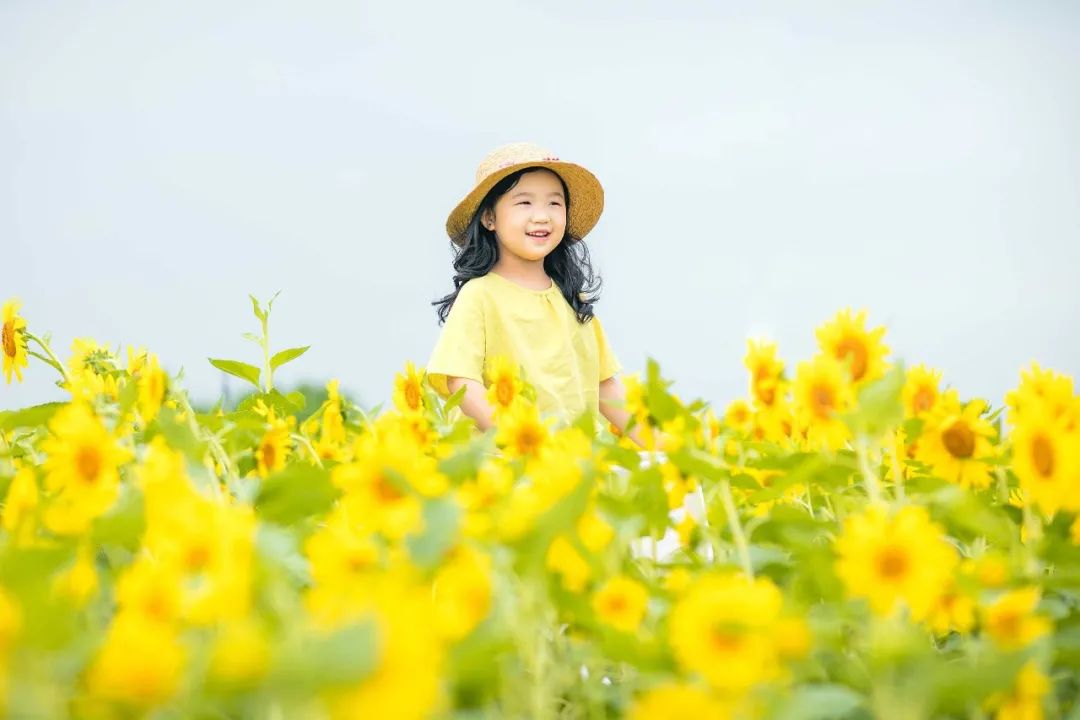 四月阳光励志的句子:愿时光不负努力,青春不负自己-句子橘 四月阳光励志的句子:愿时光不负努力,青春不负自己-句子橘