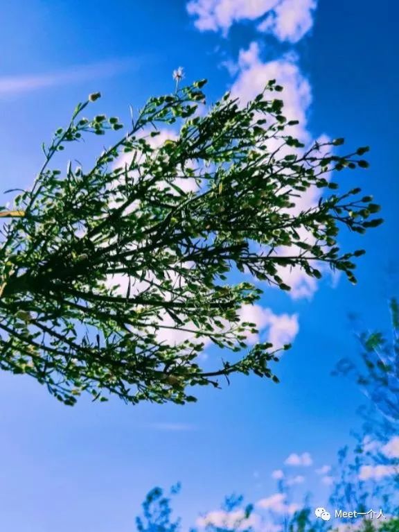 简短走心的句子，激励人去奋斗，努力做更好的自己-句子橘