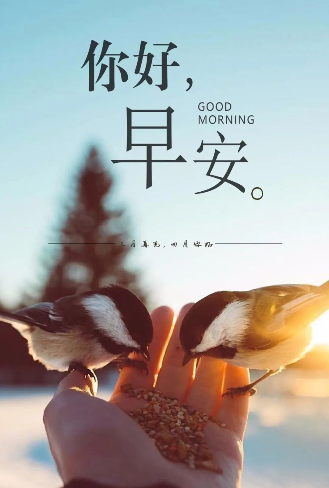 3月再见朋友圈早安说说,早安努力奋斗句子-句子橘 3月再见朋友圈早安说说,早安努力奋斗句子-句子橘
