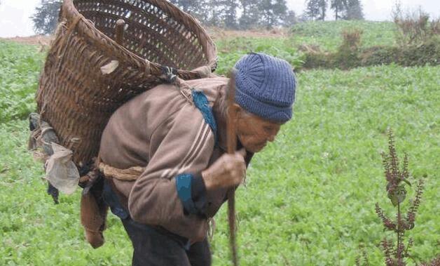 有一种“伪孝顺”正在蔓延,比“不孝”更让老人寒心…