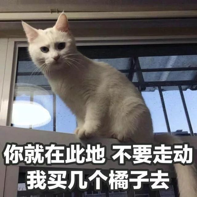 转发这些花式文案祝福爹妈，都是云孝顺的「好孩子」