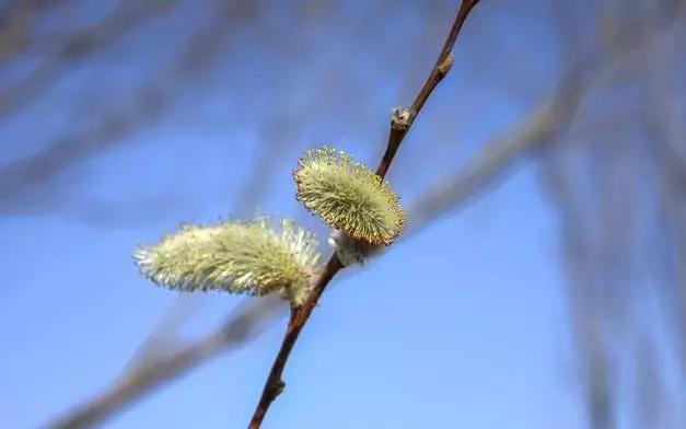 幸福的句子短的哲理的 幸福的句子短的哲理的