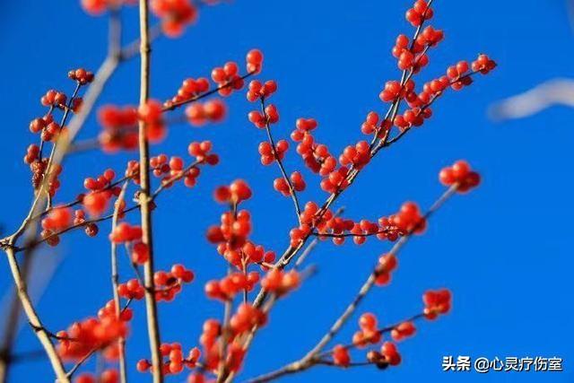 陪伴父母温暖而幸福的句子 陪伴父母温暖而幸福的句子