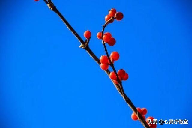 陪伴父母温暖而幸福的句子 陪伴父母温暖而幸福的句子