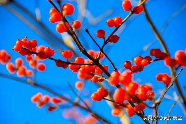 陪伴父母温暖而幸福的句子 陪伴父母温暖而幸福的句子