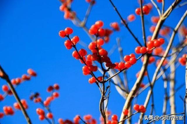 陪伴父母温暖而幸福的句子 陪伴父母温暖而幸福的句子