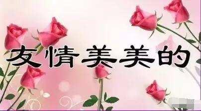 农历8月17（爱妻日）最美的祝福送给你，愿你快乐、幸福每一天！
