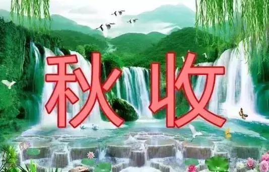 农历8月17（爱妻日）最美的祝福送给你，愿你快乐、幸福每一天！