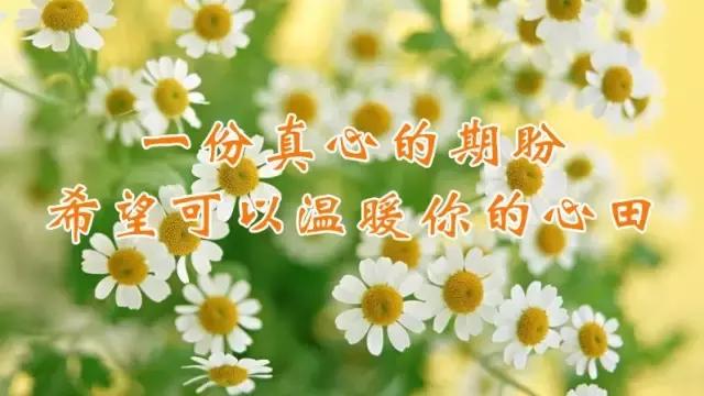 农历8月17（爱妻日）最美的祝福送给你，愿你快乐、幸福每一天！