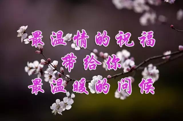 农历8月17（爱妻日）最美的祝福送给你，愿你快乐、幸福每一天！