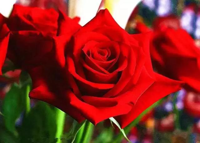 幸福日，送您10句真心话，祝愿所有家人，2018幸福快乐每一天！