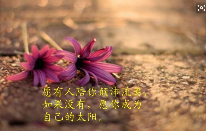 人生正能量的经典句子大全(人生路上的正能量短句)