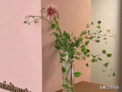 一句简短晒幸福的句子
