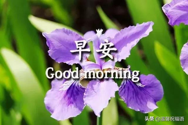 祝朋友幸福的句子短句2 祝朋友幸福的句子短句2