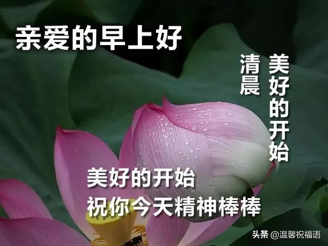 祝朋友幸福的句子短句2 祝朋友幸福的句子短句2