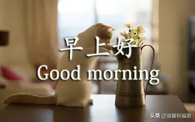 祝朋友幸福的句子短句2 祝朋友幸福的句子短句2