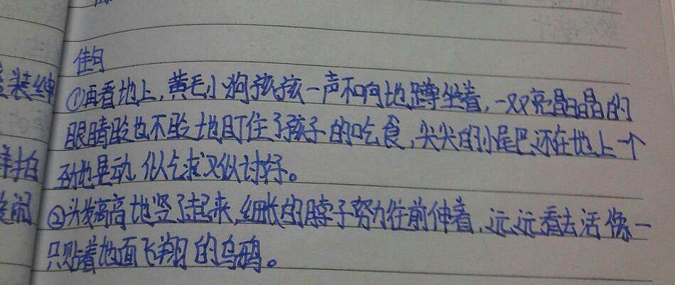 15句风景优美句子摘抄_(十句优美简短的句子)
