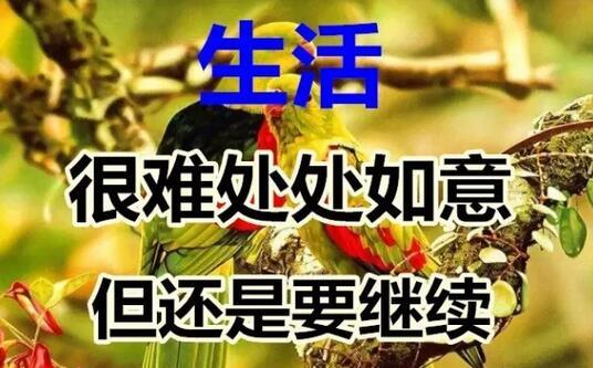 今天是好运日，送你这十个字，真的好美！快送给朋友！