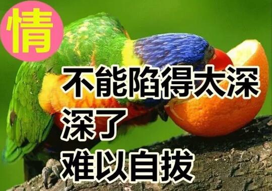 今天是好运日，送你这十个字，真的好美！快送给朋友！