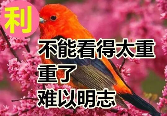 今天是好运日，送你这十个字，真的好美！快送给朋友！
