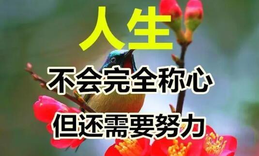 今天是好运日，送你这十个字，真的好美！快送给朋友！