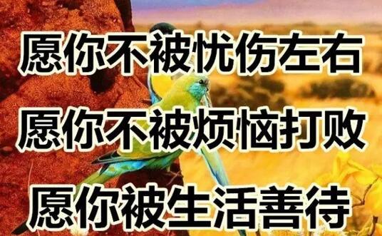 今天是好运日，送你这十个字，真的好美！快送给朋友！