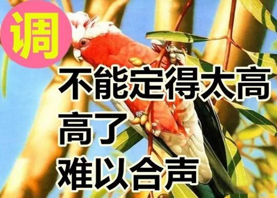 今天是好运日，送你这十个字，真的好美！快送给朋友！