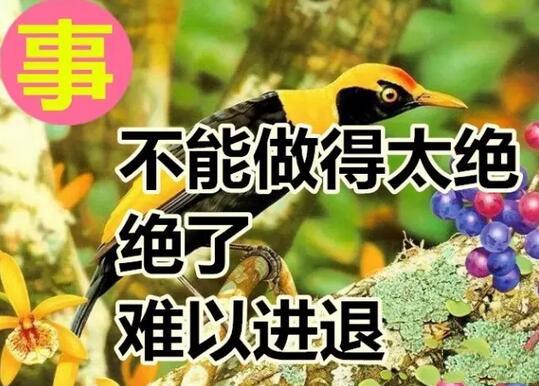 今天是好运日，送你这十个字，真的好美！快送给朋友！