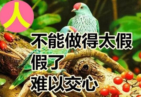 今天是好运日，送你这十个字，真的好美！快送给朋友！