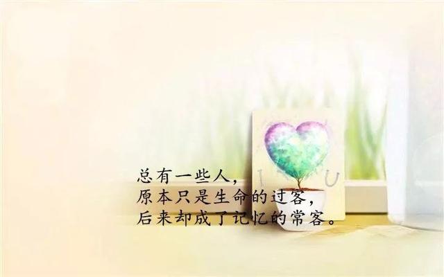 人生情感感悟经典句子大全(精辟情感人生感悟句子)