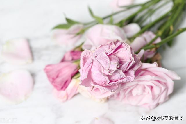 100条唯美幸福爱情语录_幸福唯美的爱情语句
