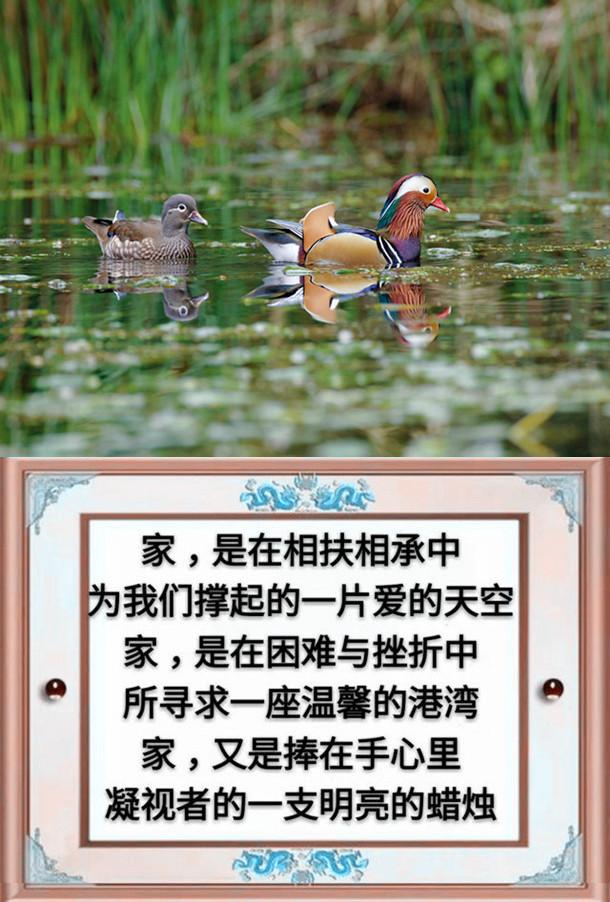 一父一母,一夫一妻,一子一女,幸福的一家人(请珍惜)