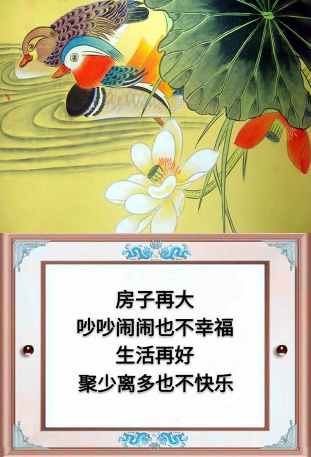 一父一母,一夫一妻,一子一女,幸福的一家人(请珍惜)