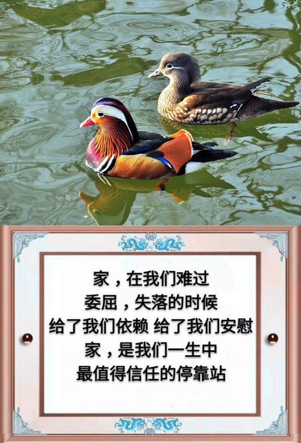 一父一母,一夫一妻,一子一女,幸福的一家人(请珍惜)