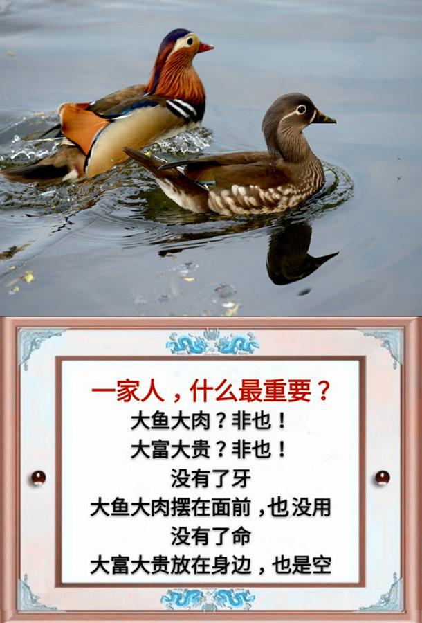 一父一母,一夫一妻,一子一女,幸福的一家人(请珍惜)