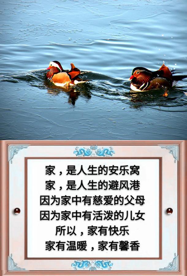 一父一母,一夫一妻,一子一女,幸福的一家人(请珍惜)