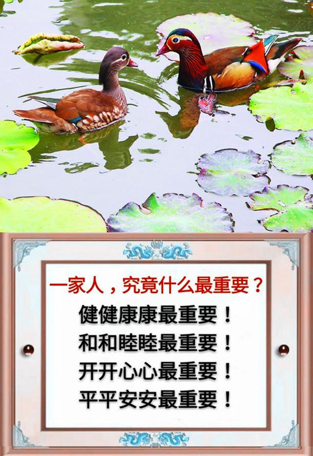一父一母,一夫一妻,一子一女,幸福的一家人(请珍惜)