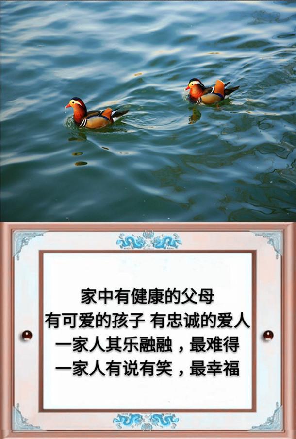一父一母,一夫一妻,一子一女,幸福的一家人(请珍惜)