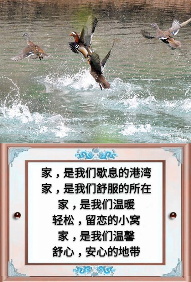 一父一母,一夫一妻,一子一女,幸福的一家人(请珍惜)