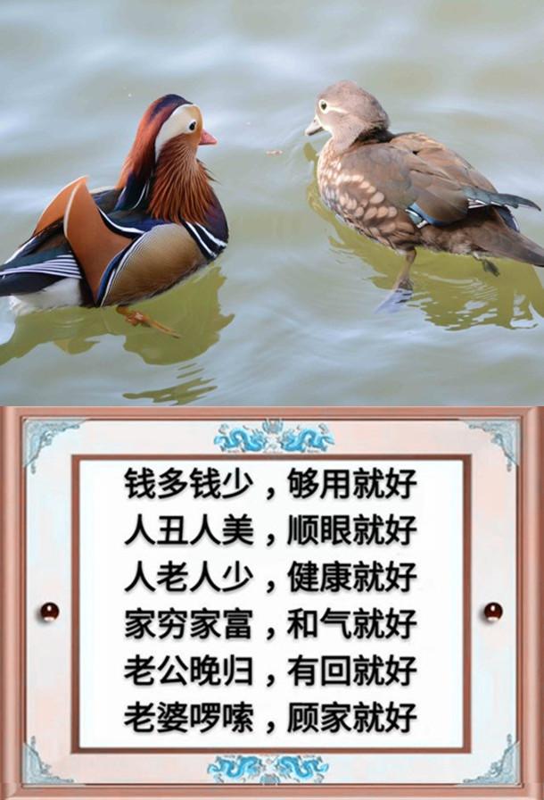 一父一母,一夫一妻,一子一女,幸福的一家人(请珍惜)