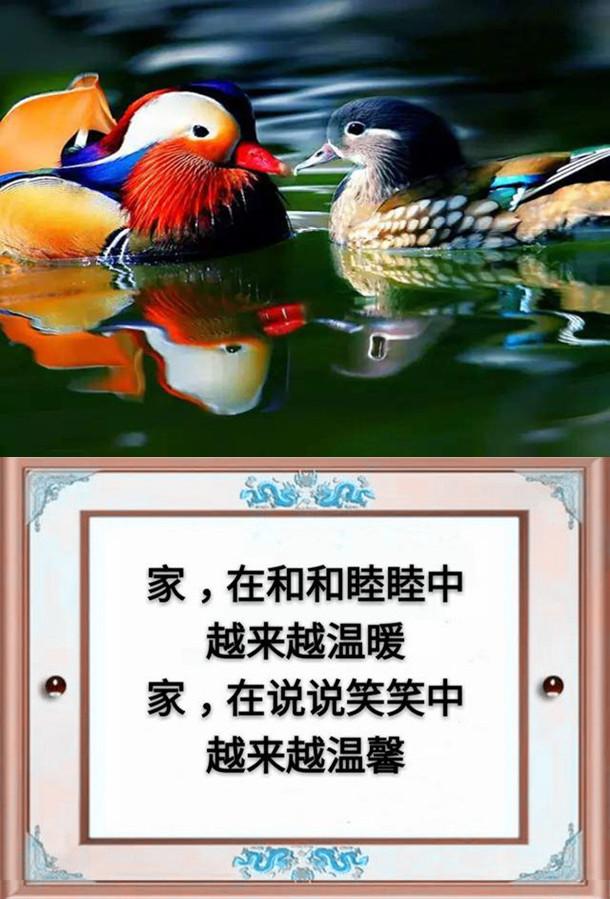 一父一母,一夫一妻,一子一女,幸福的一家人(请珍惜)