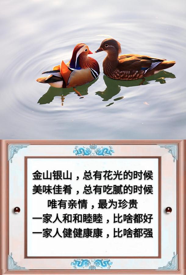 一父一母,一夫一妻,一子一女,幸福的一家人(请珍惜)