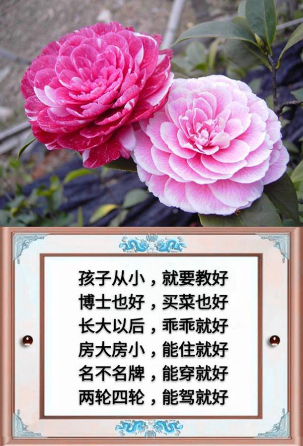 一父一母,一夫一妻,一子一女,幸福的一家人(请珍惜)