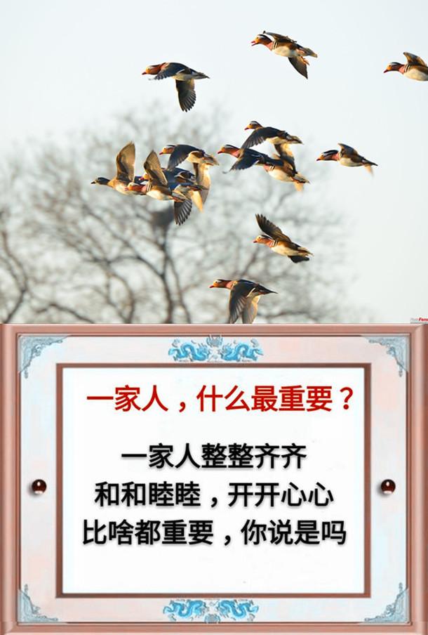 一父一母,一夫一妻,一子一女,幸福的一家人(请珍惜)
