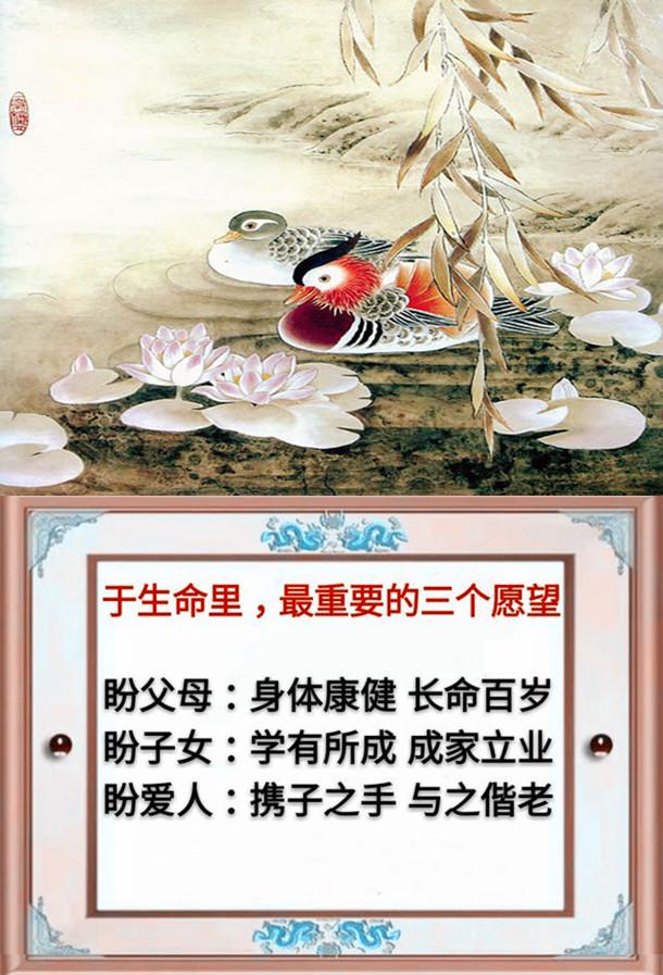 一父一母,一夫一妻,一子一女,幸福的一家人(请珍惜)