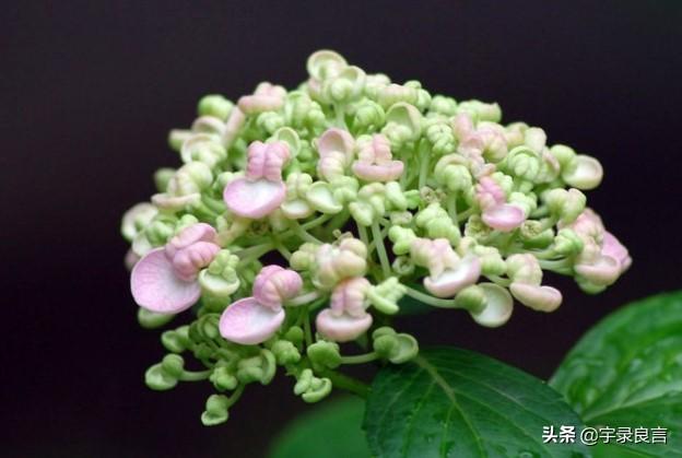 幸福生活的句子唯美短句 幸福生活的句子唯美短句