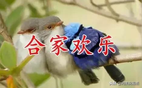 祝福家人幸福快乐的句子图片 祝福家人幸福快乐的句子图片