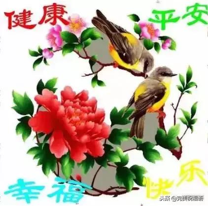 祝福家人幸福快乐的句子图片 祝福家人幸福快乐的句子图片